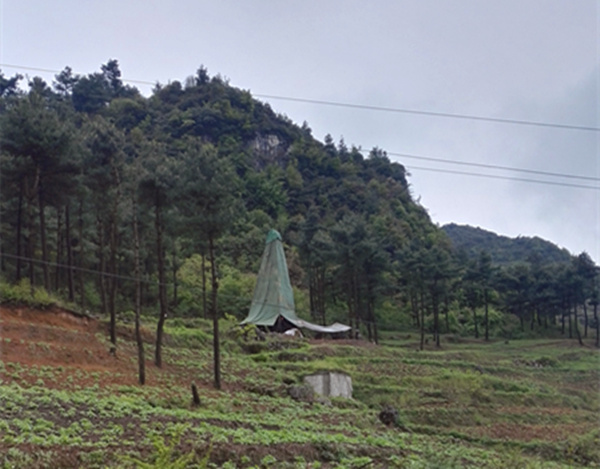 把脈“黔”鋅地，問診開良方