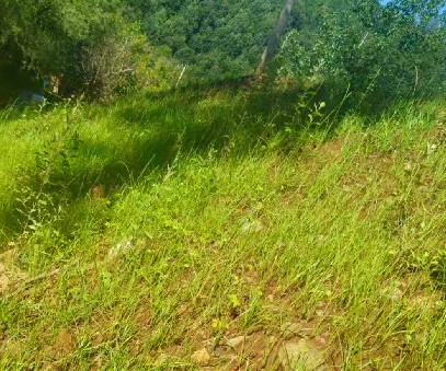 柳關(guān)欒盧鉛鋅礦|治理排土“瘡疤”，繪就綠色畫卷